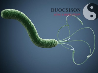 Vi khuẩn HP – Nguyên nhân hàng đầu gây viêm loét dạ&nbsp;dày