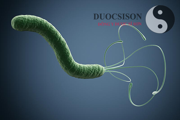 viêm loét dạ dày vi khuẩn HP